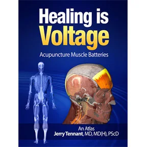DRTH_HV_Acupuncture